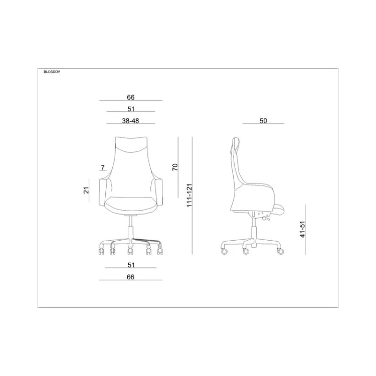 blossomskora (3).jpg