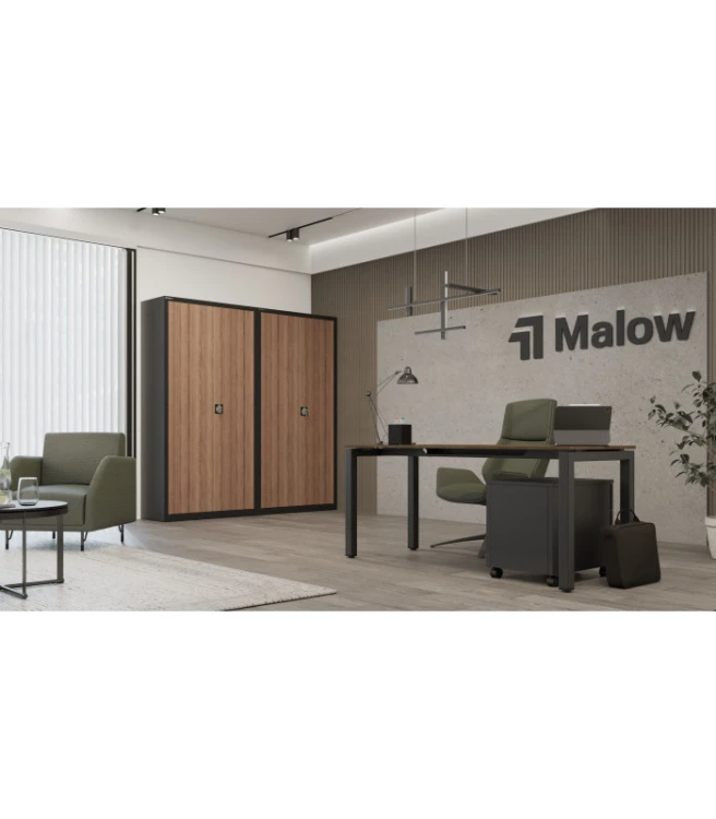 sbm-203m-lx-ral7016-okleina-tek (3).jpg